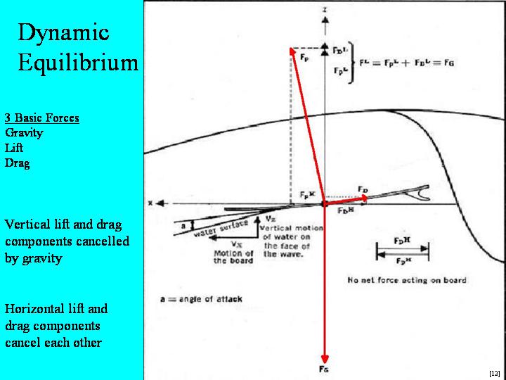 Definition Of Dynamic Equilibrium In Physics